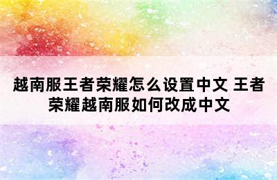 越南服王者荣耀怎么设置中文 王者荣耀越南服如何改成中文